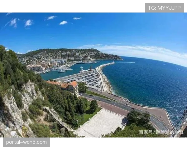 法国职业足球联盟关注事件，要求尼斯提交报告